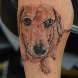 best Dachshunds tattoo